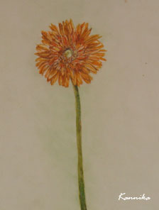 Orange Colour Flower Painting